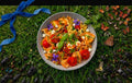 Farfalle al Pomodoro🦋🍅